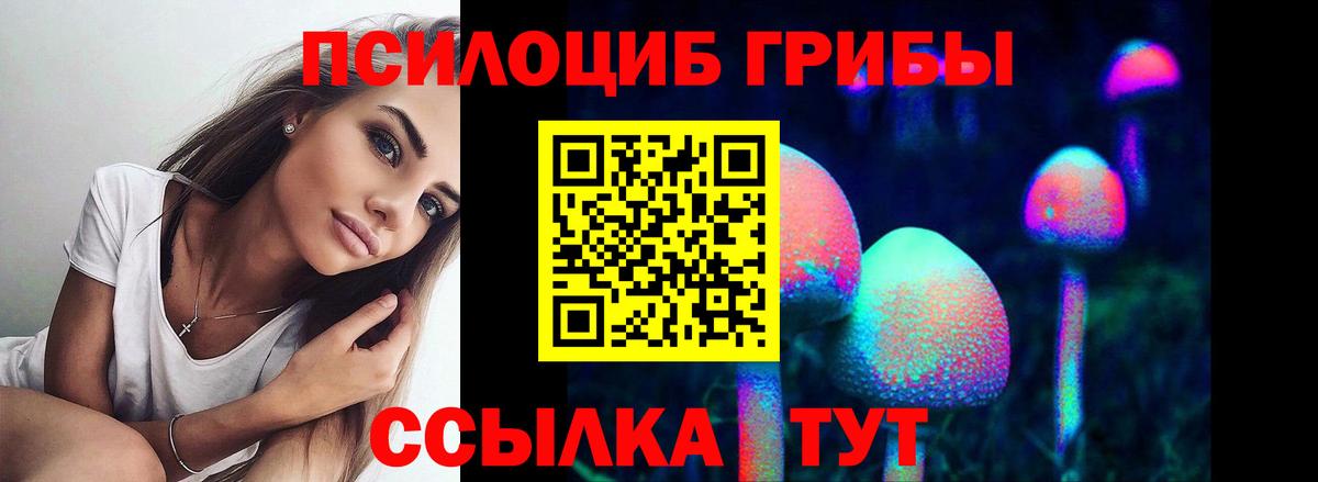 Галлюциногенные грибы ЛСД  Вход с VPN  Ачинск  купить  сайты  Галлюциногенные грибы Psilocybe 